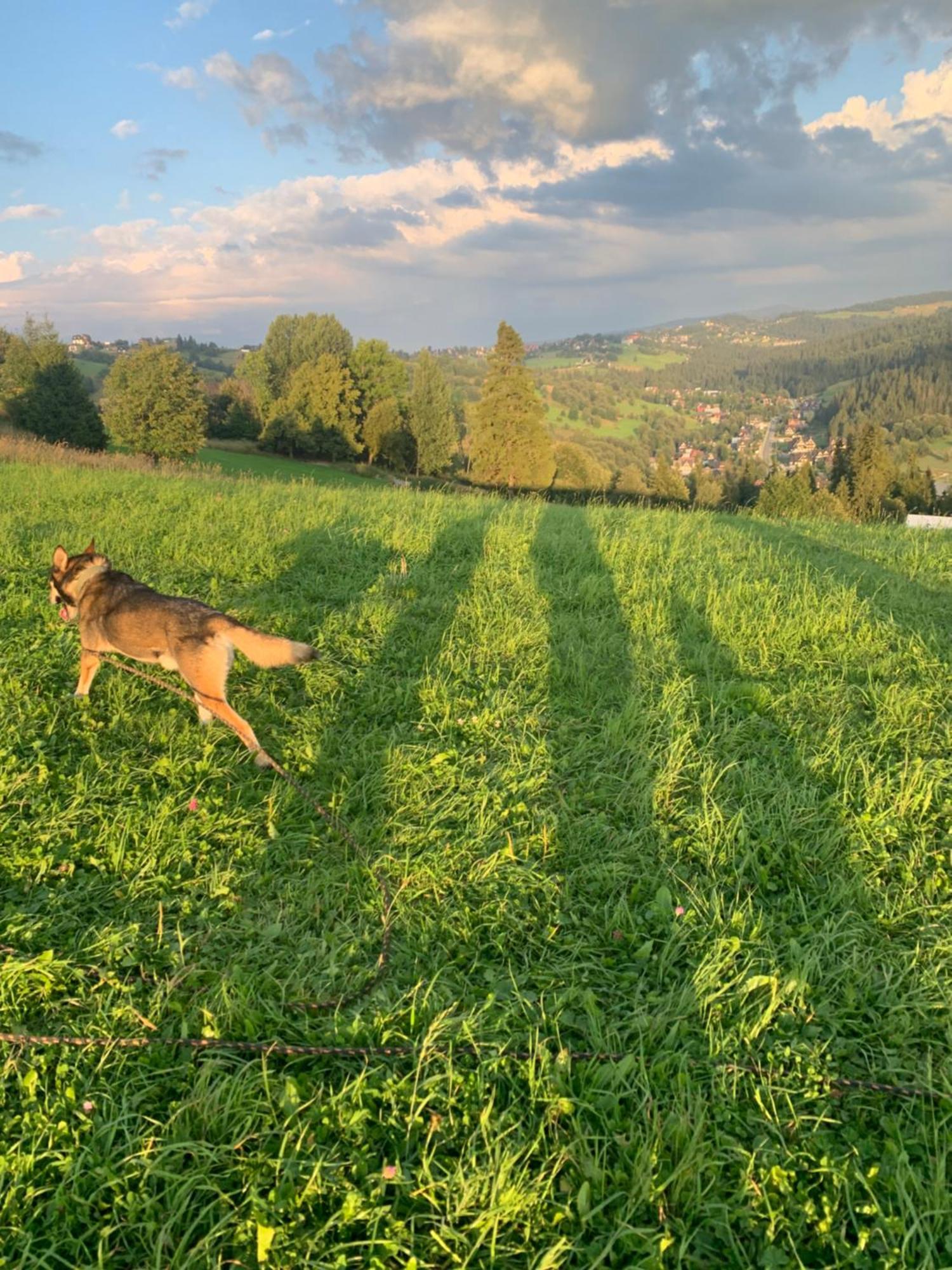Pod Goralskim Niebem * Gliczarow Gorny